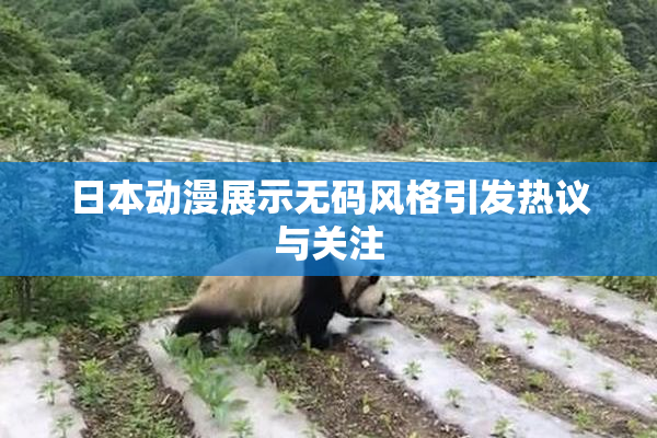 日本动漫展示无码风格引发热议与关注