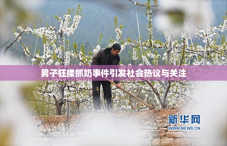 男子狂揉抓奶事件引发社会热议与关注