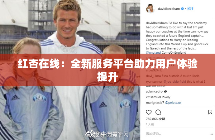 红杏在线：全新服务平台助力用户体验提升