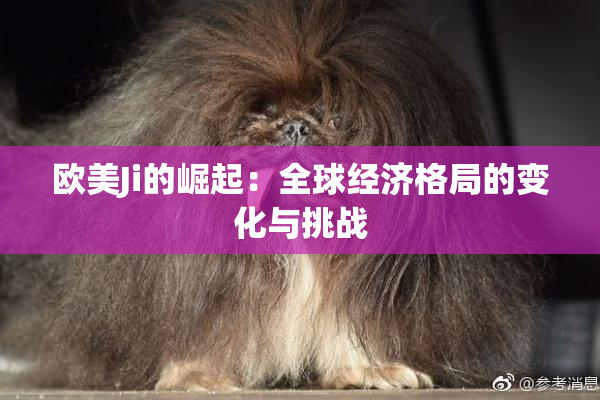 欧美Ji的崛起：全球经济格局的变化与挑战