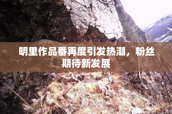 明里作品番再度引发热潮，粉丝期待新发展