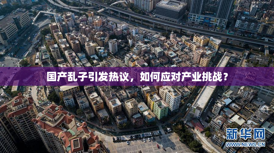 国产乱子引发热议，如何应对产业挑战？