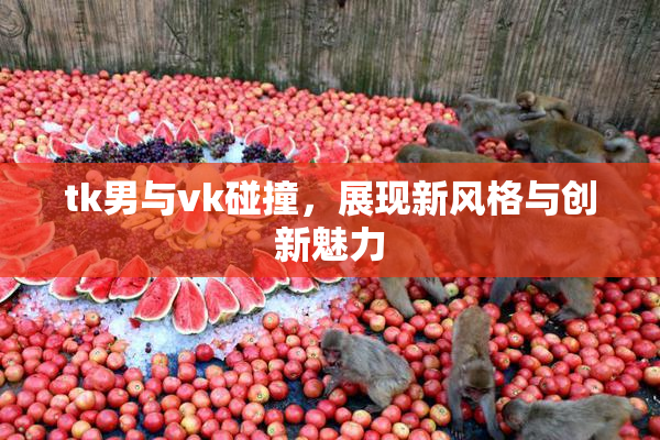 tk男与vk碰撞，展现新风格与创新魅力