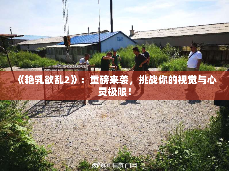 《艳乳欲乱2》：重磅来袭，挑战你的视觉与心灵极限！
