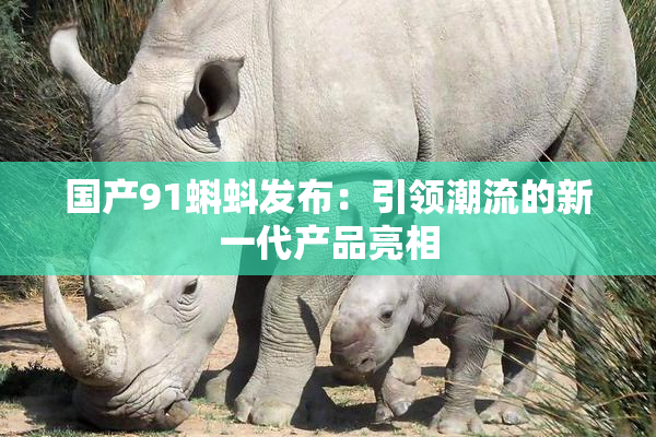 国产91蝌蚪发布：引领潮流的新一代产品亮相