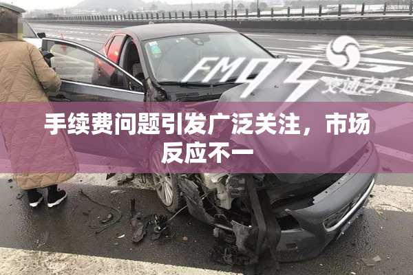 手续费问题引发广泛关注，市场反应不一