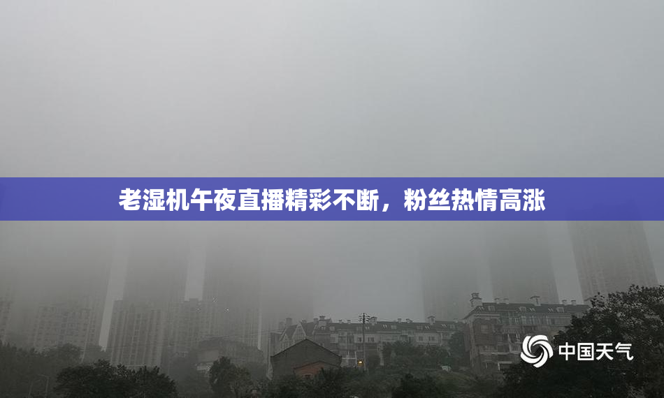 老湿机午夜直播精彩不断，粉丝热情高涨