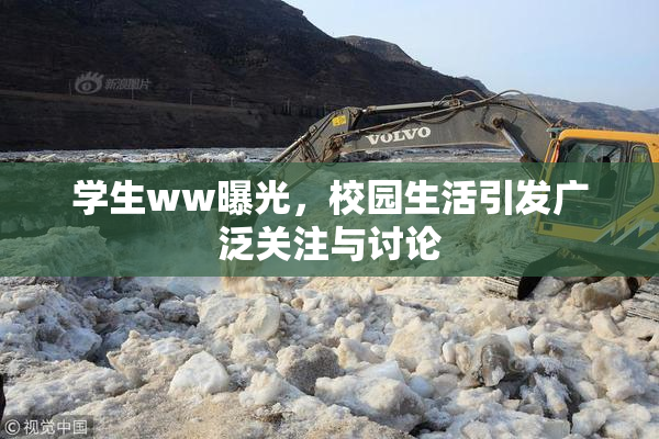 学生ww曝光，校园生活引发广泛关注与讨论