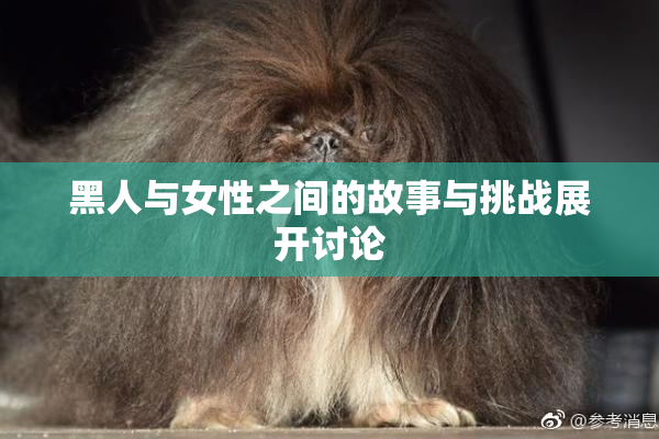 黑人与女性之间的故事与挑战展开讨论