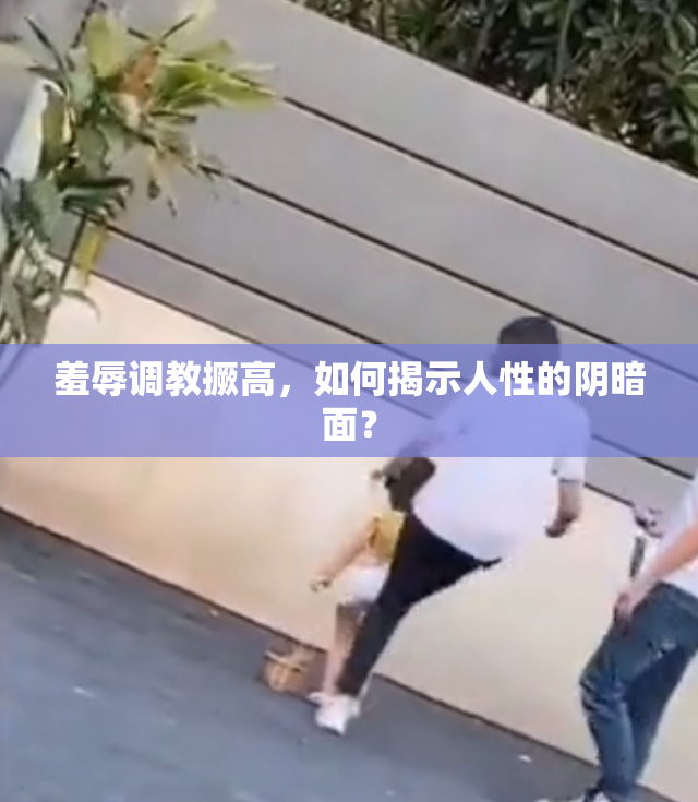 羞辱调教撅高，如何揭示人性的阴暗面？