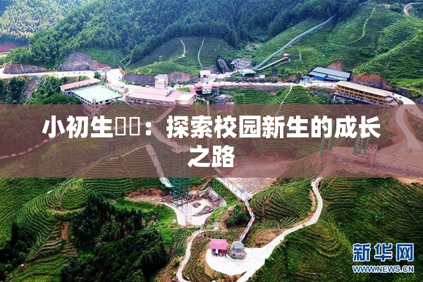 小初生❌‌：探索校园新生的成长之路