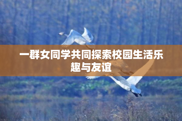 一群女同学共同探索校园生活乐趣与友谊
