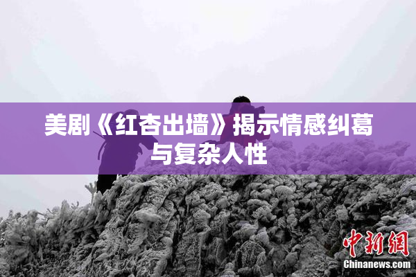美剧《红杏出墙》揭示情感纠葛与复杂人性