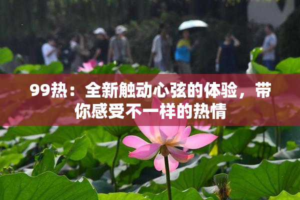 99热：全新触动心弦的体验，带你感受不一样的热情