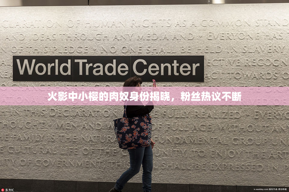 火影中小樱的肉奴身份揭晓，粉丝热议不断