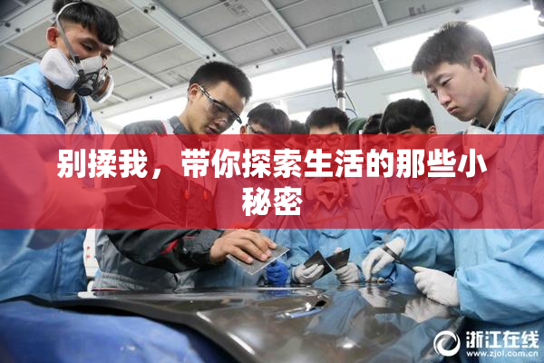 别揉我，带你探索生活的那些小秘密