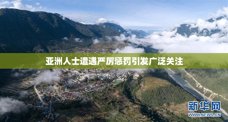 亚洲人士遭遇严厉惩罚引发广泛关注