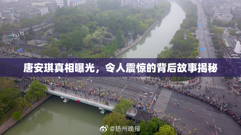唐安琪真相曝光，令人震惊的背后故事揭秘