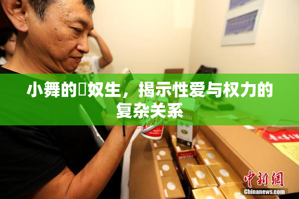 小舞的婬奴生，揭示性爱与权力的复杂关系