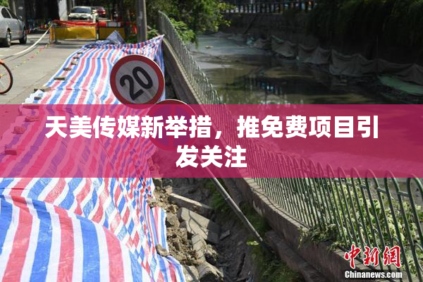 天美传媒新举措，推免费项目引发关注