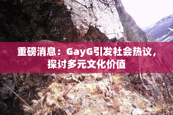 重磅消息：GayG引发社会热议，探讨多元文化价值