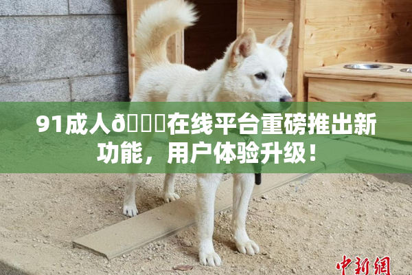 91成人🔞在线平台重磅推出新功能，用户体验升级！