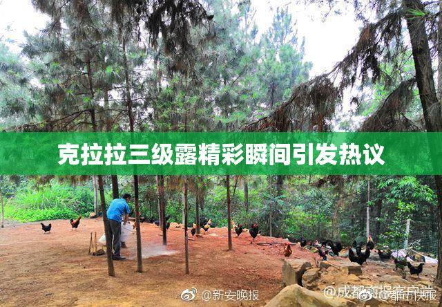 克拉拉三级露精彩瞬间引发热议