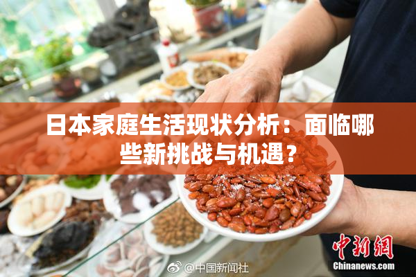 日本家庭生活现状分析：面临哪些新挑战与机遇？
