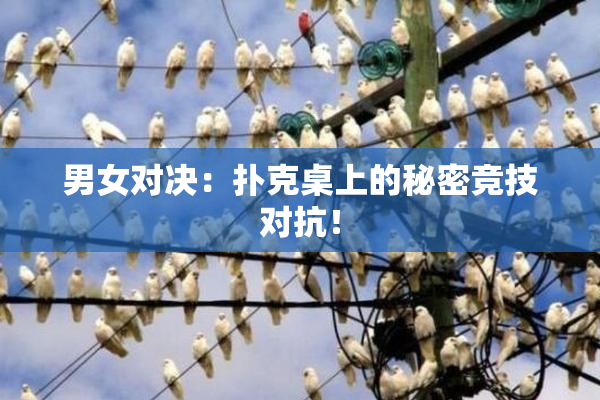 男女对决：扑克桌上的秘密竞技对抗！