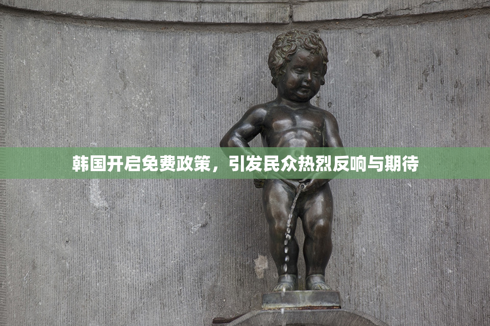 韩国开启免费政策，引发民众热烈反响与期待