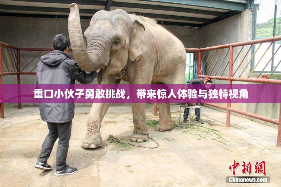 重口小伙子勇敢挑战，带来惊人体验与独特视角