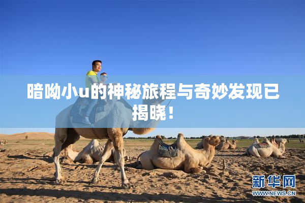 暗呦小u的神秘旅程与奇妙发现已揭晓！