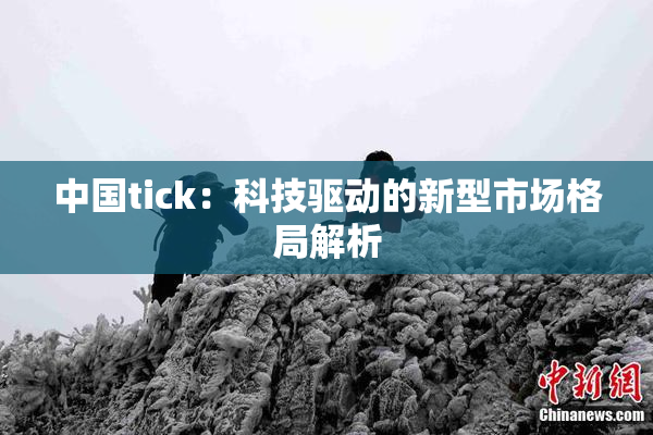 中国tick：科技驱动的新型市场格局解析