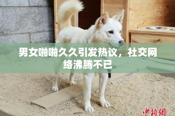 男女啪啪久久引发热议，社交网络沸腾不已