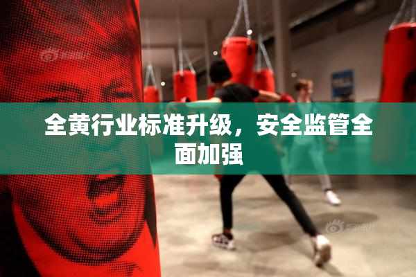 全黄行业标准升级，安全监管全面加强