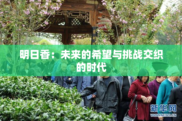 明日香：未来的希望与挑战交织的时代