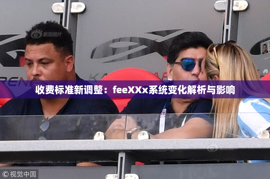 收费标准新调整：feeXXx系统变化解析与影响