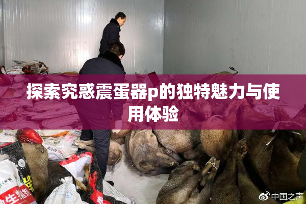 探索究惑震蛋器p的独特魅力与使用体验
