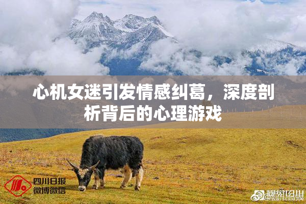 心机女迷引发情感纠葛，深度剖析背后的心理游戏