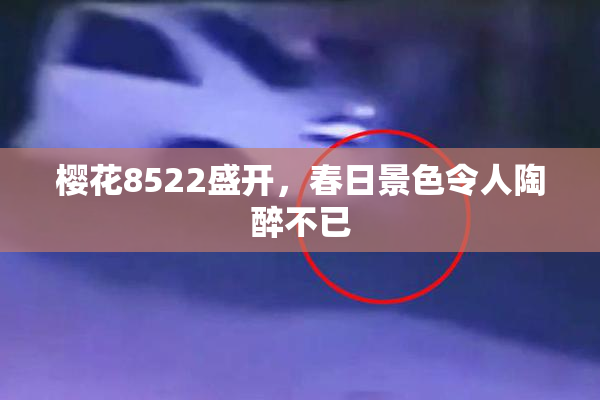 樱花8522盛开，春日景色令人陶醉不已
