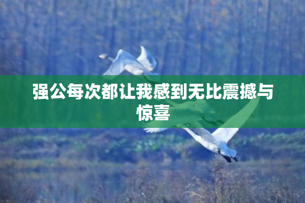 强公每次都让我感到无比震撼与惊喜