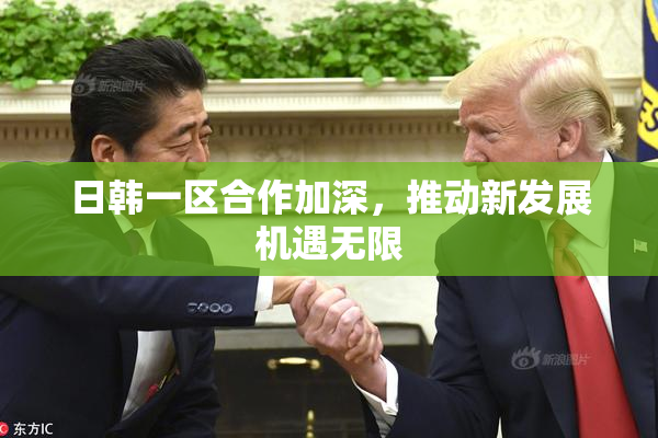 日韩一区合作加深，推动新发展机遇无限