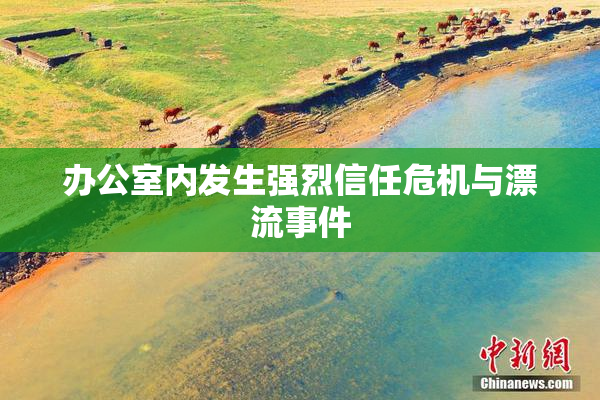 办公室内发生强烈信任危机与漂流事件