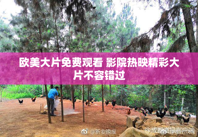 欧美大片免费观看 影院热映精彩大片不容错过