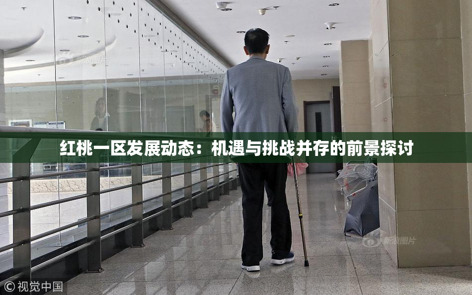 红桃一区发展动态：机遇与挑战并存的前景探讨
