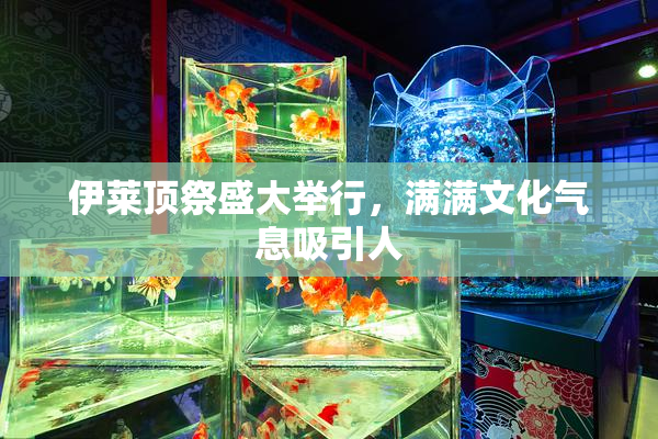 伊莱顶祭盛大举行，满满文化气息吸引人
