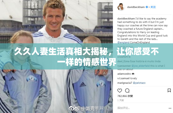 久久人妻生活真相大揭秘，让你感受不一样的情感世界