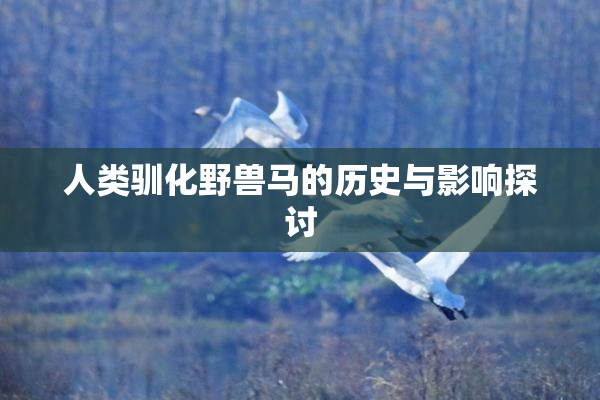 人类驯化野兽马的历史与影响探讨