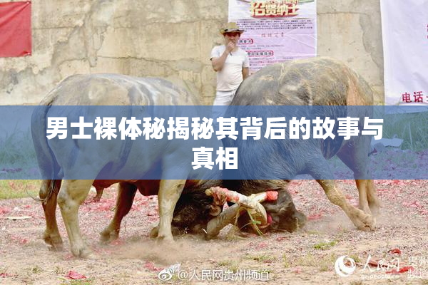 男士裸体秘揭秘其背后的故事与真相
