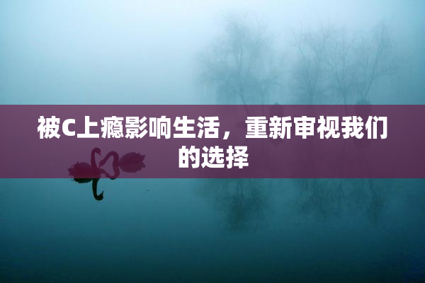 被C上瘾影响生活，重新审视我们的选择
